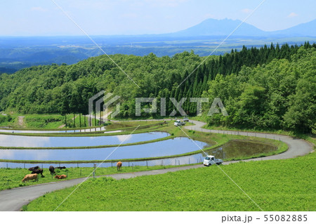 田植え風景(扇田) 田植え風景(扇田) 55082885