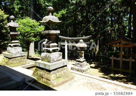 熊野神社 55082984
