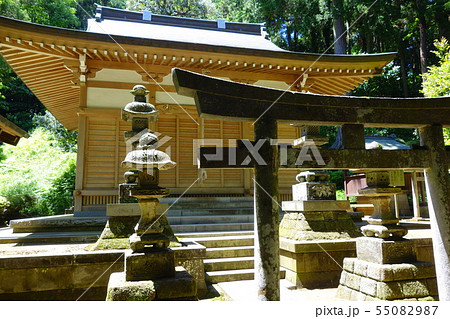 熊野神社 熊野神社 55082987