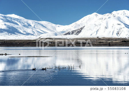 Lake Tekapo Look Out,South Island New Zealand 55083108