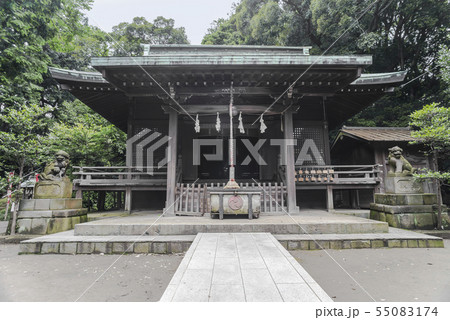 冨塚八幡宮（横浜市戸塚区戸塚町） 55083174