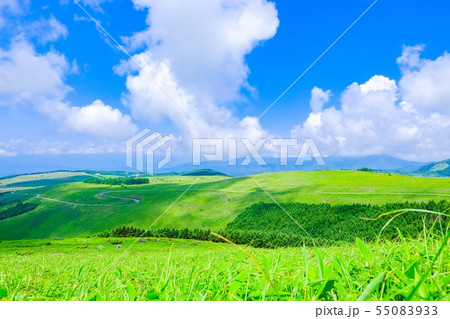 車山高原の風景 （夏） 55083933