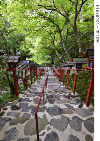 貴布禰總本宮 貴船神社 新緑 貴布禰總本宮 貴船神社 新緑 55084914
