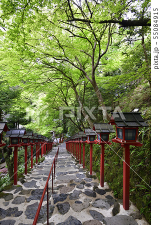 貴布禰總本宮 貴船神社 新緑 貴布禰總本宮 貴船神社 新緑 55084915