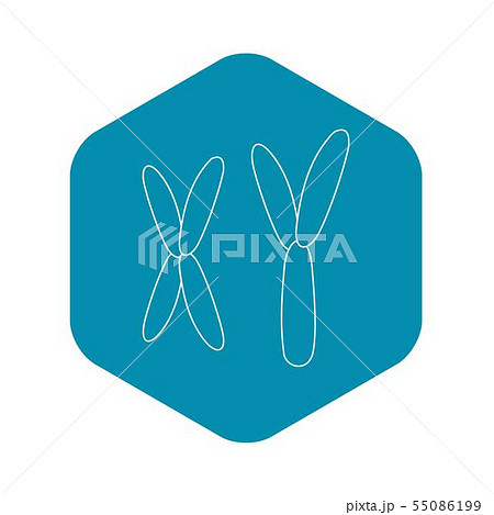 X and Y chromosome icon, outline style X and Y chromosome icon, outline style 55086199