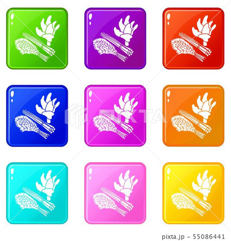 Green food plant icons set 9 color collection Green food plant icons set 9 color collection 55086441