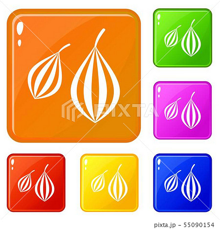 Trachyspermum ammi icons set vector color 55090154