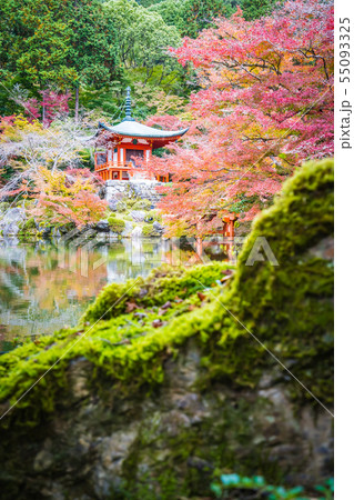 Beautiful Daigoji temple with colorful tree and leaf in autumn season 55093325