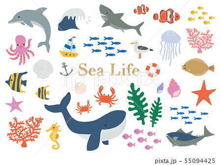 海の生き物イラストセット 55094425