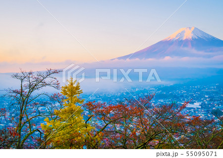 Beautiful landscape of mountain fuji around maple leaf tree in autumn season 55095071