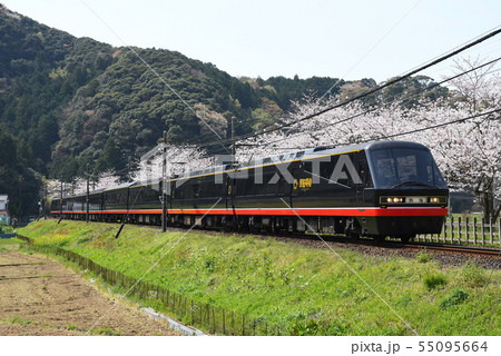 桜とリゾート列車 55095664