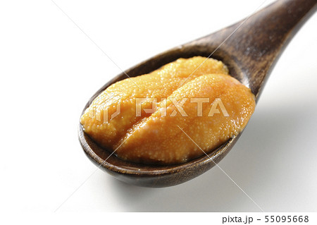 ウニを食す 55095668