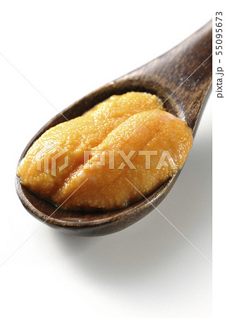 ウニを食す 55095673