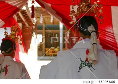 神社で神楽舞いを奉納する巫女 神社で神楽舞いを奉納する巫女 55095866