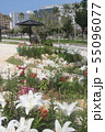 奥武山公園 55096077