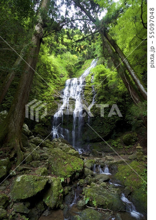 飛龍の瀧（兵庫県佐用郡佐用町） 55097048