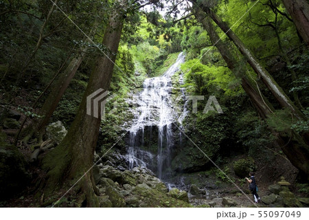 飛龍の瀧（兵庫県佐用郡佐用町） 55097049