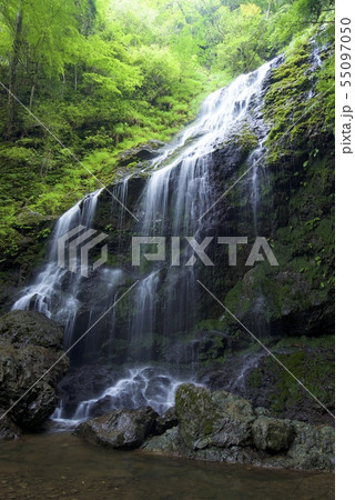 飛龍の瀧（兵庫県佐用郡佐用町） 55097050