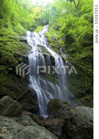 飛龍の瀧（兵庫県佐用郡佐用町） 55097053