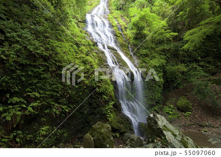 飛龍の瀧(兵庫県佐用郡佐用町) 飛龍の瀧(兵庫県佐用郡佐用町) 55097060