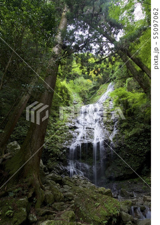 飛龍の瀧(兵庫県佐用郡佐用町) 飛龍の瀧(兵庫県佐用郡佐用町) 55097062
