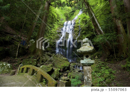 飛龍の瀧(兵庫県佐用郡佐用町) 飛龍の瀧(兵庫県佐用郡佐用町) 55097063