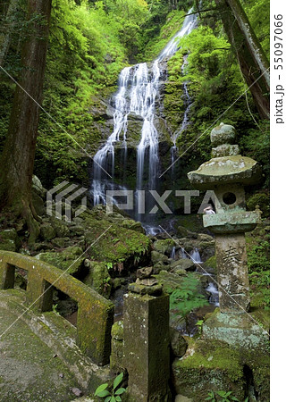 飛龍の瀧（兵庫県佐用郡佐用町） 55097066
