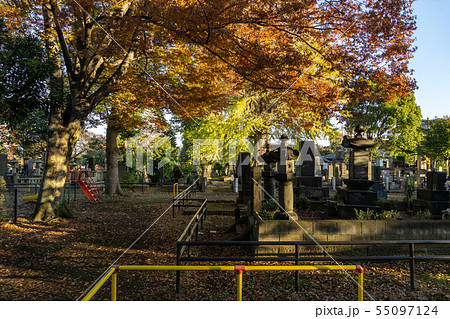 谷中霊園　公園 55097124