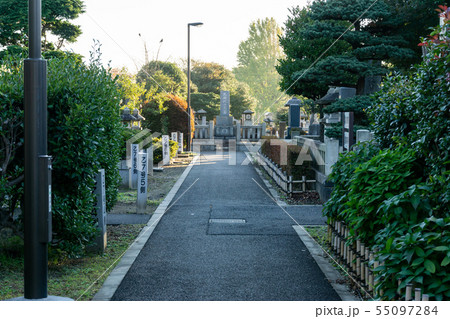 谷中霊園　秋 55097284