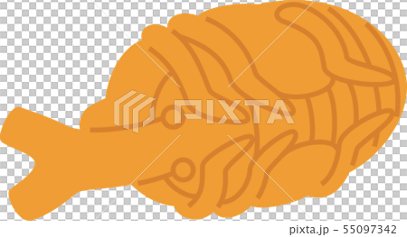 甲蟲蟲棺材 55097342