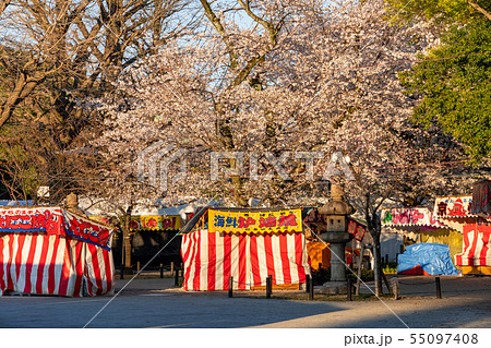 靖国神社 屋台の写真素材