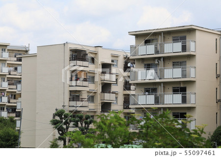 団地 55097461