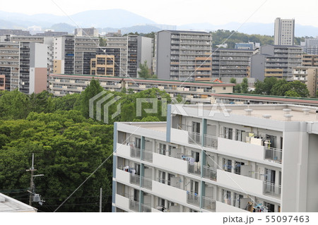 団地 団地 55097463