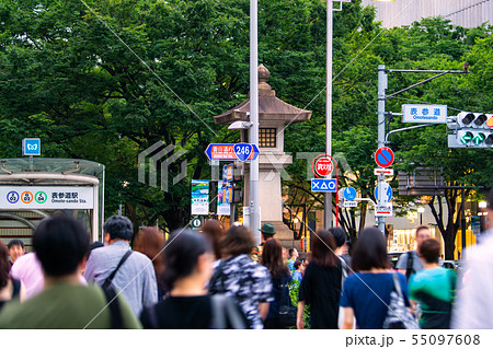 日本の東京都市景観 表参道駅などを望む 日本の東京都市景観 表参道駅などを望む 55097608