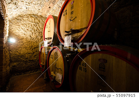 イタリア　トスカーナ州　モンタルチーノ郊外のワイナリーにて 55097915