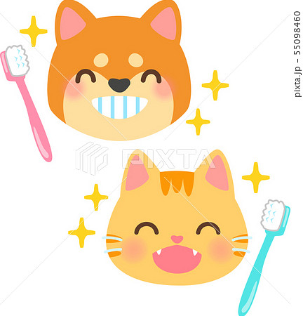 きれいな歯の犬 猫と歯ブラシのイラスト素材