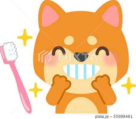 きれいな歯の犬と歯ブラシのイラスト素材