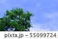 青空 55099724