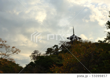 横浜・三渓園 55099857