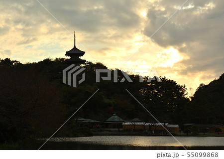 横浜・三渓園 横浜・三渓園 55099868