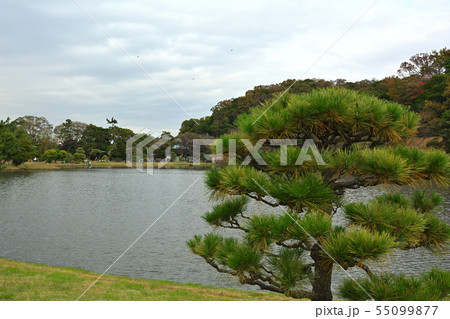 横浜・三渓園 55099877