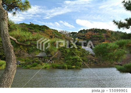 横浜・三渓園 横浜・三渓園 55099901
