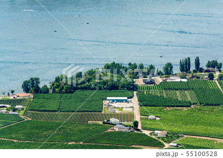 Landscape overview with farmer's house at Okanagan 55100528