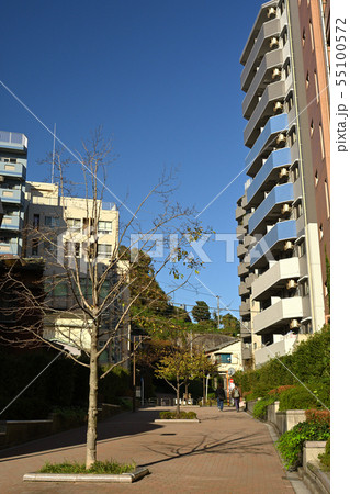 横浜・神奈川区の風景 横浜・神奈川区の風景 55100572