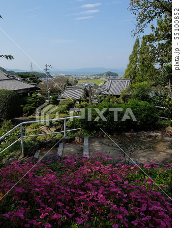 河野氏発祥の地　善応寺 55100852