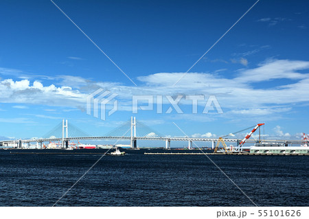 横浜 横浜 55101626