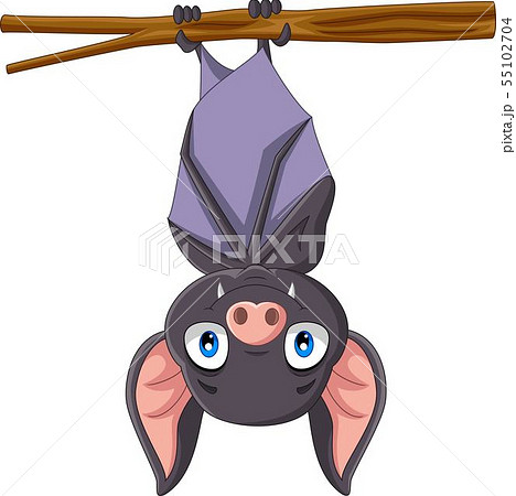 Cute bat cartoon hanging on the branch - Stock Illustration [55102704] -  PIXTA