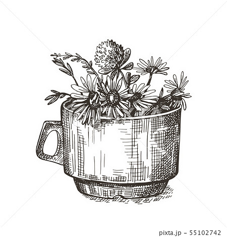 Bouquet of wild flowers in a cup. Vector image. Sketch graphics. Bouquet of wild flowers in a cup. Vector image. Sketch graphics. 55102742