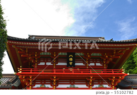 鎌倉・鶴岡八幡宮 鎌倉・鶴岡八幡宮 55102782