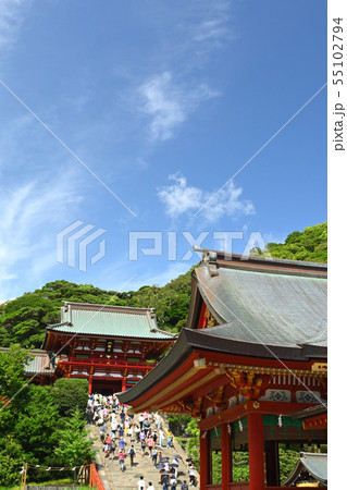 鎌倉・鶴岡八幡宮 55102794